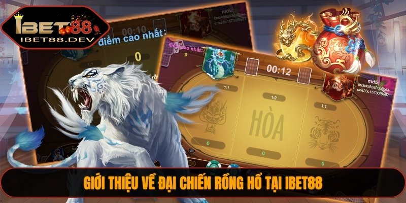 Giới thiệu về đại chiến Rồng Hổ tại IBET88