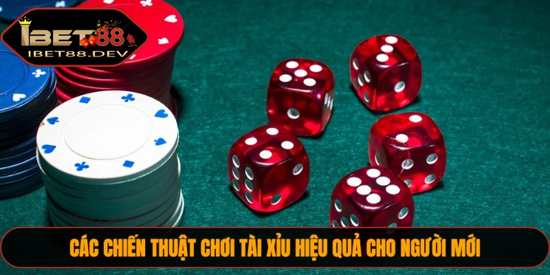Các chiến thuật chơi Tài Xỉu hiệu quả cho người mới